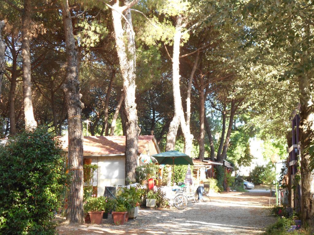 Iron Gate Marina3B Sarzana Exterior foto